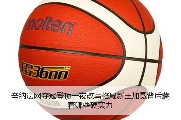 辛纳法网夺冠登顶一夜改写格局新王加冕背后藏着哪些硬实力